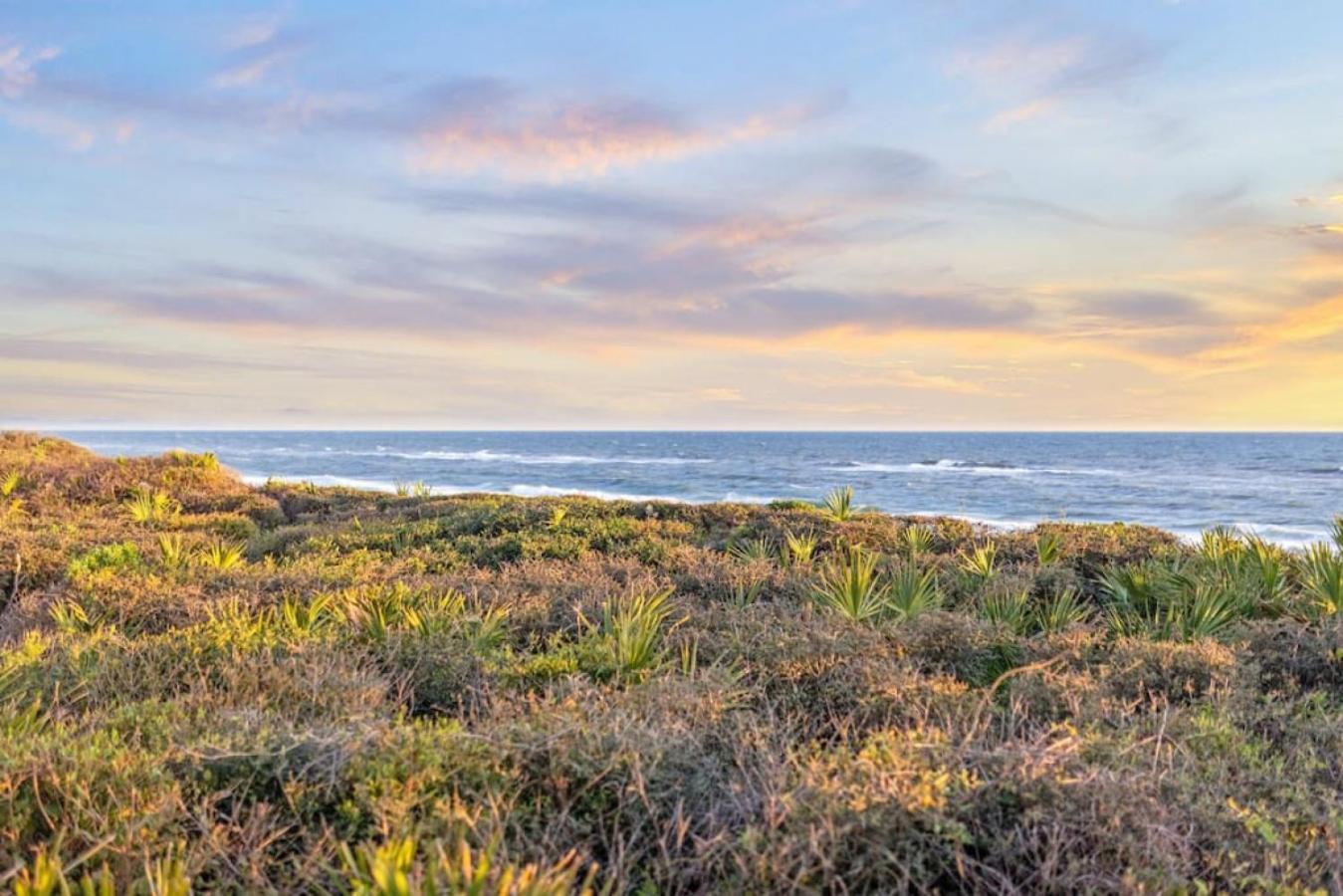 30a Steps To Dog Friendly With Peloton And Bikes *